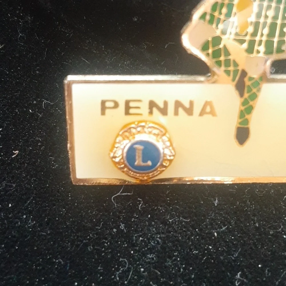 Vintage Penna 14-N 1984 Pin, Loins Club